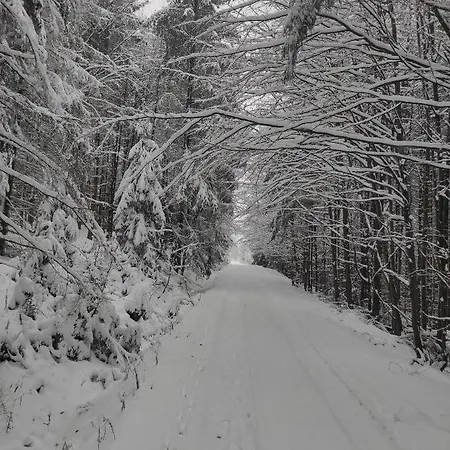 Gosciniec Sliwkula Affittacamere 3*