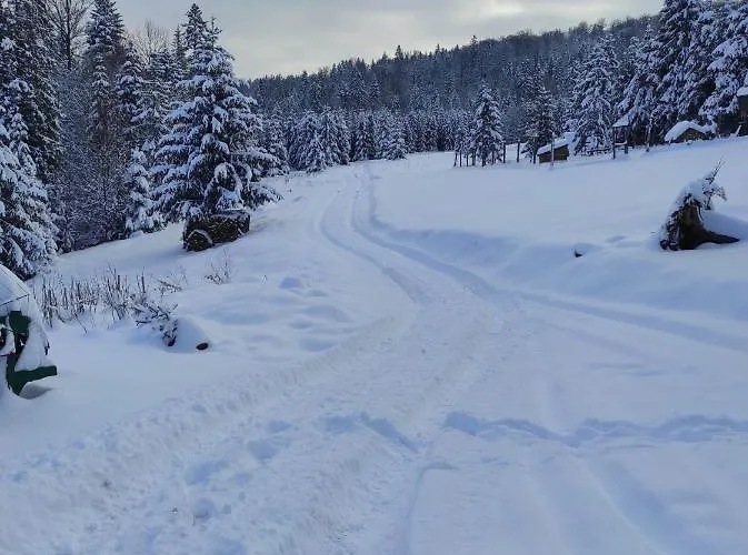 Gæstehus Gosciniec Sliwkula 3*